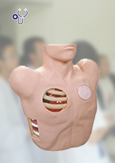 DM-CS6228 胸腔闭式引流术模型    