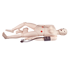 DM-NS1019 全功能护理人（带血压测量）   