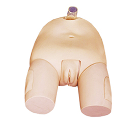 DM-NS6047 高级女性膀胱穿刺模型