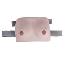 DM-GP6622 佩带式乳房自检模型    
