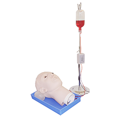 DM-CS6271 高级鼻腔出血模型    