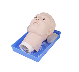DM-CS6271 高级鼻腔出血模型    