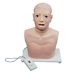 DM-CS6279 咽喉检查模型(电子监测)    