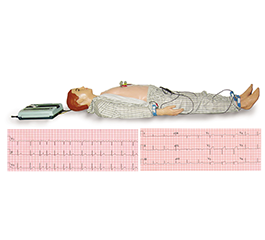 DM-PE6415 心电图教学模拟人    