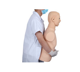 DM-CPR1550 高级成人气道梗塞及CPR模型