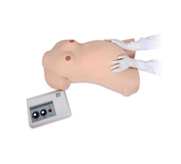 DM-GP6631 孕妇腹部触诊模型（高级版）   