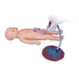 DM-PS6606 男婴脐带护理模型    