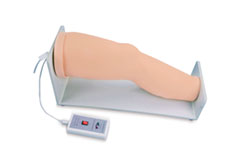 DM-CS6263 膝关节腔内注射模型    