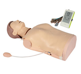 DM-CPR2000     高级电子半身心肺复苏训练模拟人（标准版）