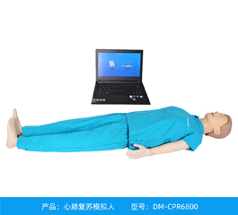 DM-CPR6800 心肺复苏模拟人